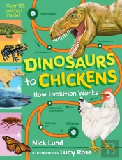 Dinosaurs To Chickens