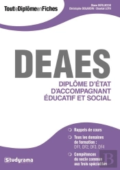 Diplome D'Etat D'Accompagnant Educatif Et Social (Deaes)