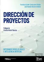 Direccion De Proyectos