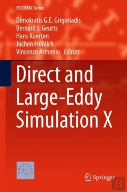 Bertrand.pt - Direct And Large-Eddy Simulation X