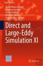 Direct And Large-Eddy Simulation Xi