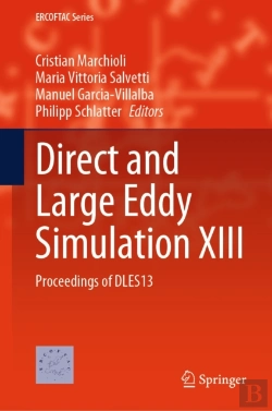 Bertrand.pt - Direct And Large Eddy Simulation Xiii