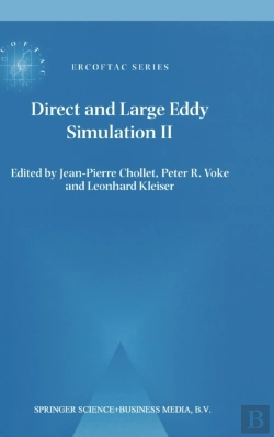 Bertrand.pt - Direct And Large-Eddy Simulation