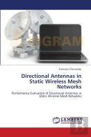 Directional Antennas In Static Wireless Mesh Networks