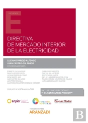 Directiva De Mercado Interior De La Electricidad (Papel + E-Book)