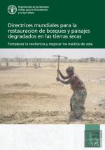 Directrices Mundiales Para La Restauracion De Bosques Y Paisajes Degradados En Las Tierras Secas