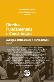 Direitos Fundamentais E Constituição