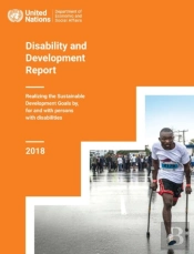 Disability And Development Report