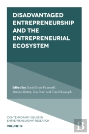 Disadvantaged Entrepreneurship And The Entrepreneurial Ecosystem