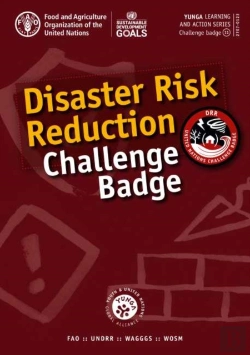 Bertrand.pt - Disaster Risk Reduction Challenge Badge