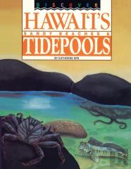 Discover Hawaii'S Sandy Beaches And Tidepools