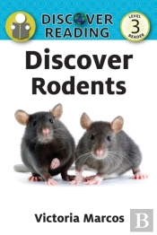 Discover Rodents