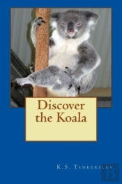 Discover The Koala