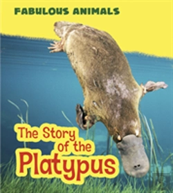Bertrand.pt - Discover The Platypus