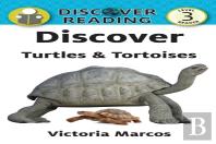 Discover Turtles & Tortoises