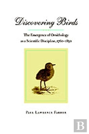 Discovering Birds