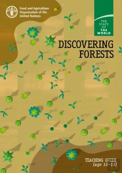 Bertrand.pt - Discovering Forests