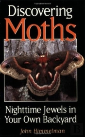 Discovering Moths