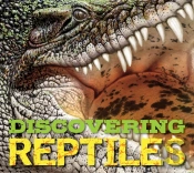 Discovering Reptiles