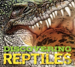 Bertrand.pt - Discovering Reptiles