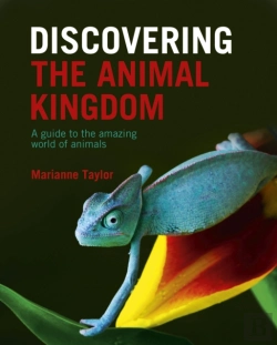 Bertrand.pt - Discovering The Animal Kingdom