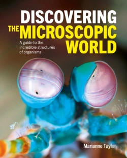 Bertrand.pt - Discovering The Microscopic World