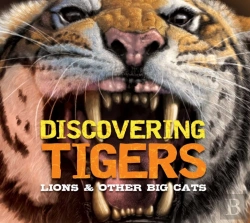 Bertrand.pt - Discovering Tigers, Lions And   Other Cats