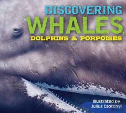 Discovering Whales, Dolphins And   Porpoises