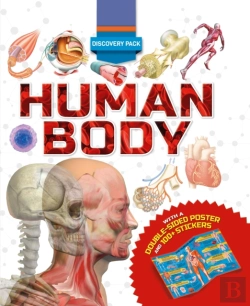 Bertrand.pt - Discovery Pack: Human Body