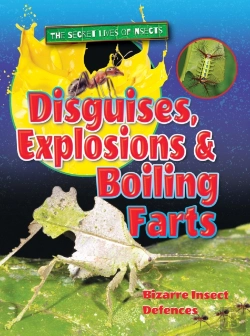 Bertrand.pt - Disguises, Explosions And Boiling Farts