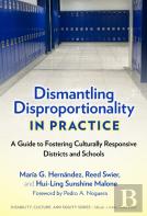 Dismantling Disproportionality In Practice