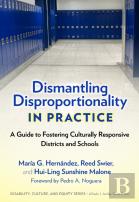 Dismantling Disproportionality In Practice