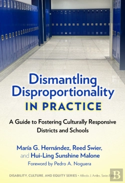 Bertrand.pt - Dismantling Disproportionality In Practice