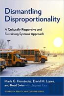 Dismantling Disproportionality