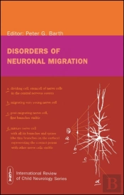 Disorders Of Neuronal Migration