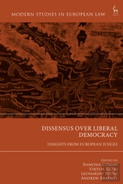 Dissensus Over Liberal Democracy
