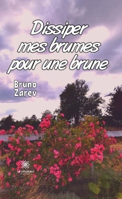 Dissiper Mes Brumes Pour Une Brune