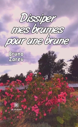 Bertrand.pt - Dissiper Mes Brumes Pour Une Brune