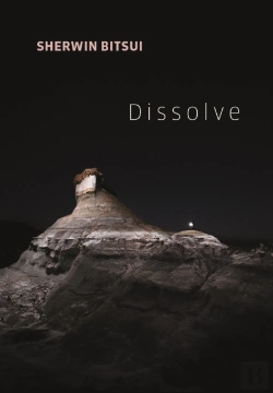 Bertrand.pt - Dissolve