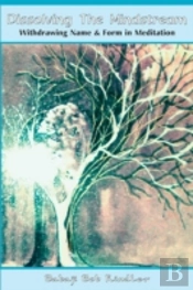 Dissolving The Mindstream