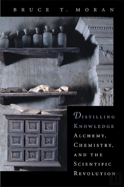 Bertrand.pt - Distilling Knowledge