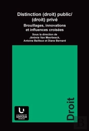 Distinction (Droit) Public-(Droit) Privé : Brouillages, Innovations Et Influences Croisées