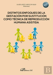 Distintos Enfoques De La Gestacion Por Sustitucion Como Tec