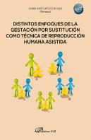 Distintos Enfoques De La Gestacion Por Sustitucion Como Tec