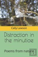 Distraction In The Minutiae