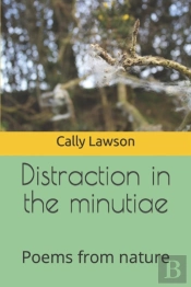 Distraction In The Minutiae