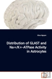 Distribution Of Glast And Na+/K+-Atpase Activity In Astrocytes