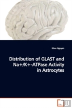 Bertrand.pt - Distribution Of Glast And Na+/K+-Atpase Activity In Astrocytes