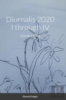 Diurnalis 2020 I Through Iv