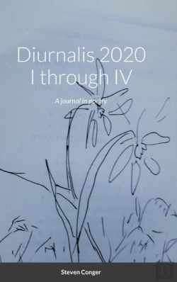 Bertrand.pt - Diurnalis 2020 I Through Iv